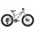 VTT Enfant Giant STP 20